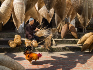 Cao 80 cm x Ngang 100 cm.jpg